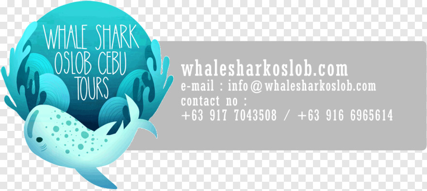 whale-shark # 1105655