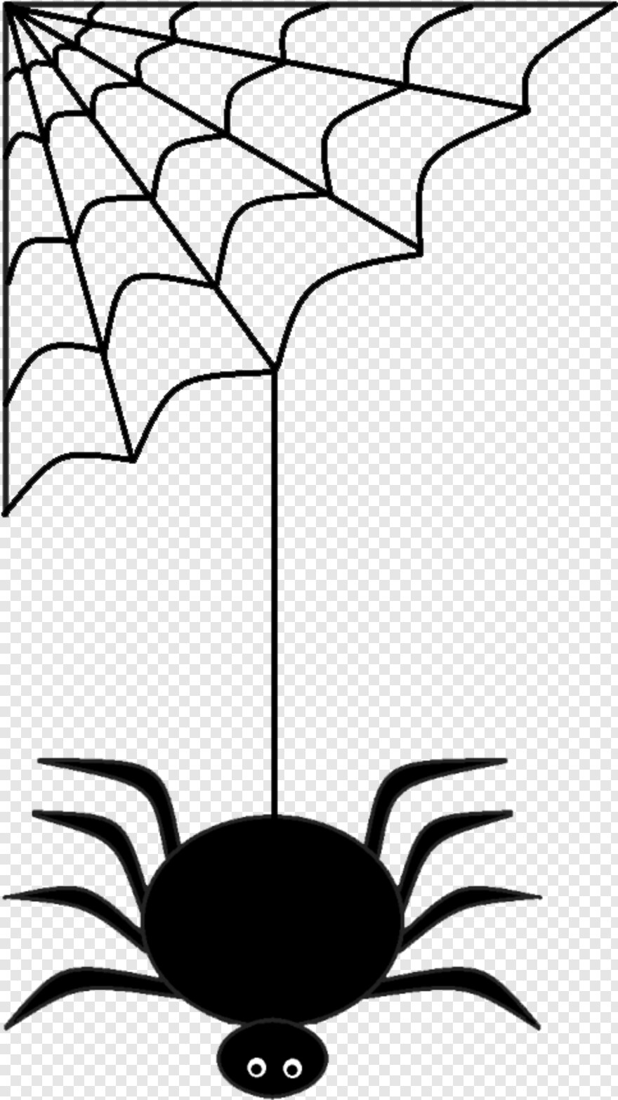 black-widow-spider # 956095