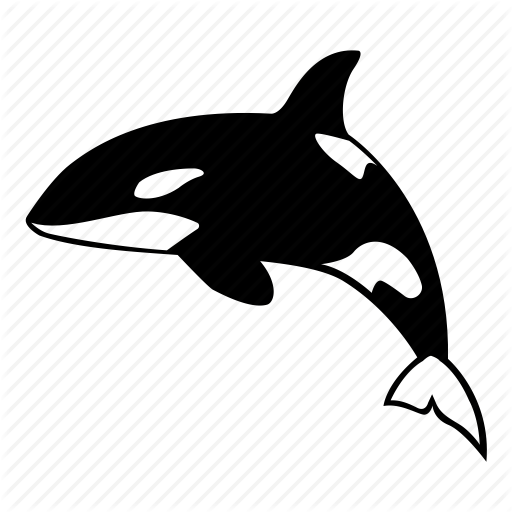 killer-whale # 100546