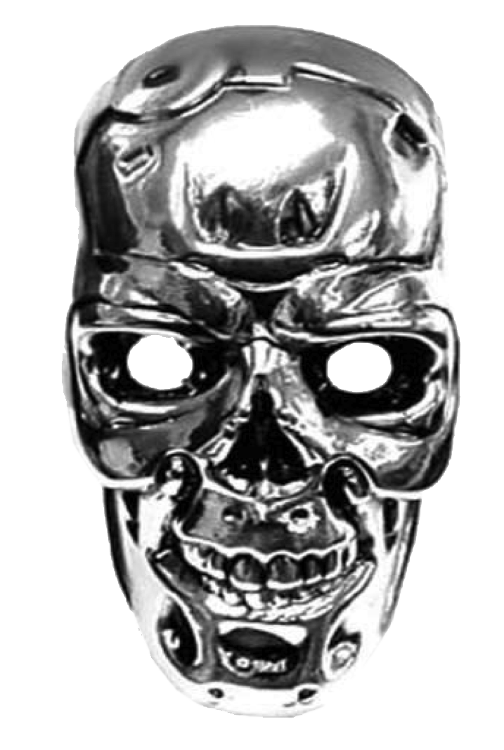 Face,Head,Skull,Bone,Personal protective equipment,Silver,Fictional character,Metal