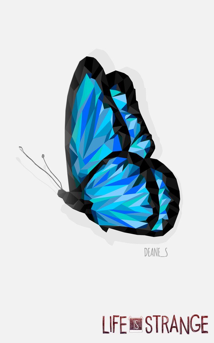 butterfly # 100655