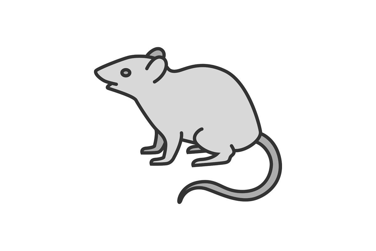 rodent # 100770