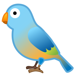 Bird,Beak,Parrot,Clip art,Budgie,Parakeet,Songbird,Perching bird,Graphics,Atlantic canary,Illustration