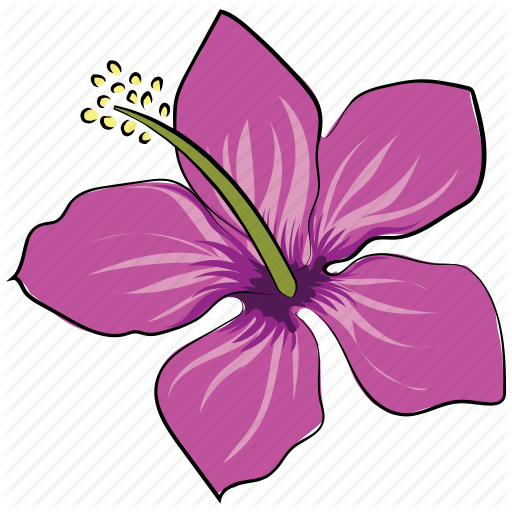 hawaiian-hibiscus # 101463