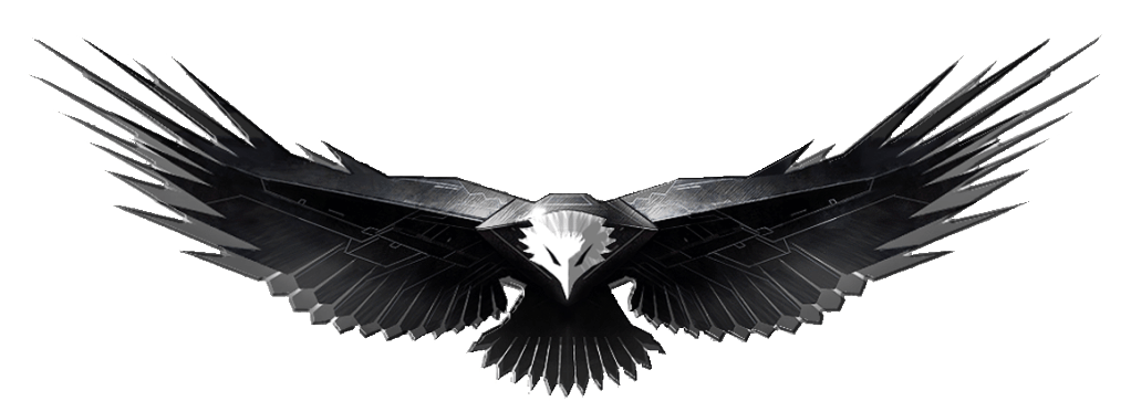 Eagle,Wing,Bird,Accipitriformes,Bird of prey,Vulture,Black-and-white,Graphics,Photography,Stock photography,Bald eagle,Symmetry,Kite,Logo,Beak