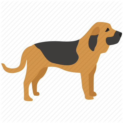 Dog,Mammal,Vertebrate,Dog breed,Canidae,Carnivore,English foxhound,Bloodhound,Hound,Rare breed (dog),Beagle-harrier,Fawn,Tail,Hunting dog