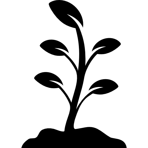 Leaf,Plant,Botany,Flower,Plant stem,Black-and-white,Pedicel