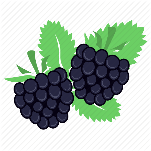 Grape,Berry,Fruit,Blackberry,Seedless fruit,Grape leaves,Grapevine family,Plant,Leaf,Rubus,Vitis,Food,Dewberry,Illustration,Produce,Superfood