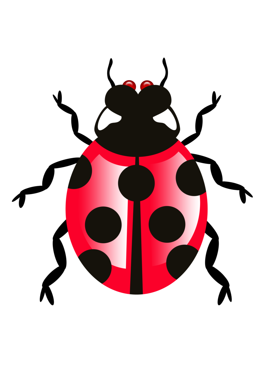 beetle # 103470