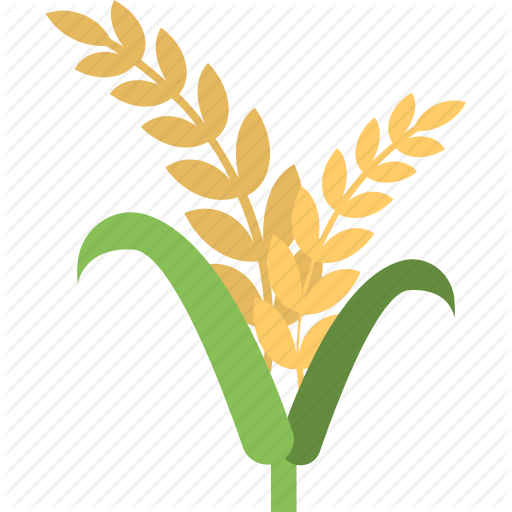 Leaf,Plant,Grass family,Botany,Logo,Tree,Flower,Plant stem,Illustration,Graphics