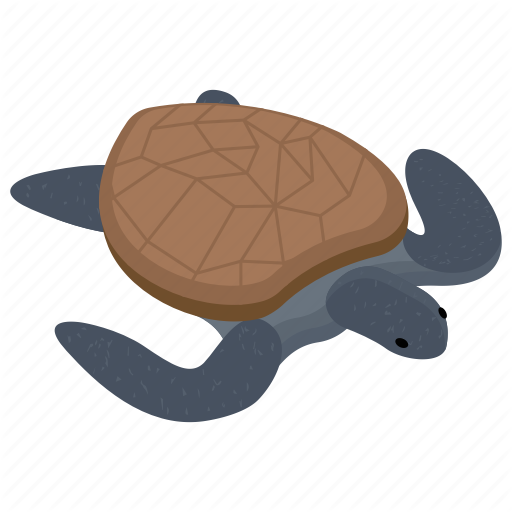 turtle # 240395