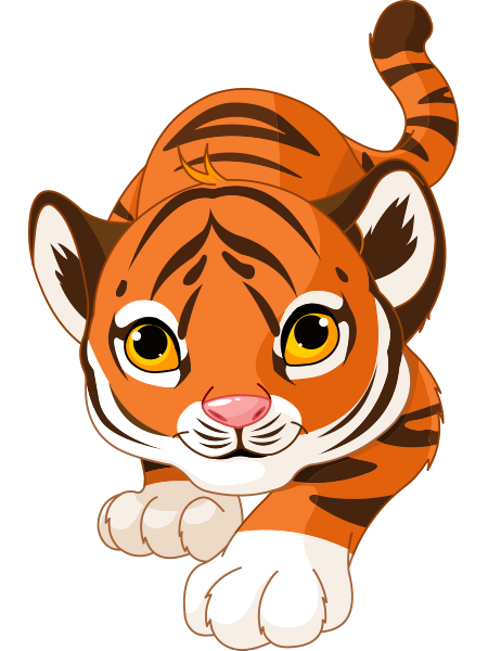 tiger # 240476