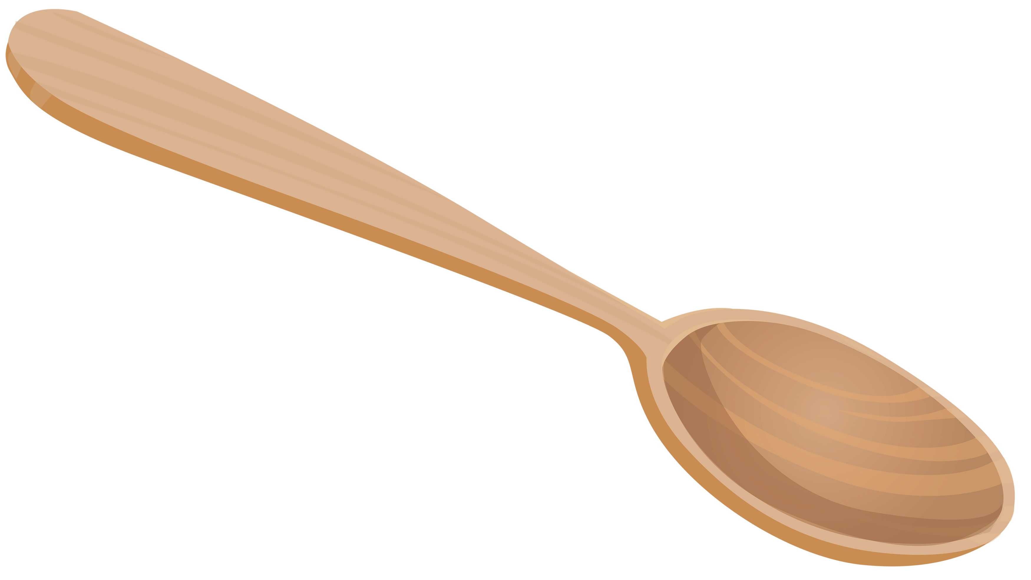 wooden-spoon # 240517