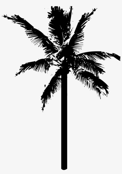 palm-tree # 104722