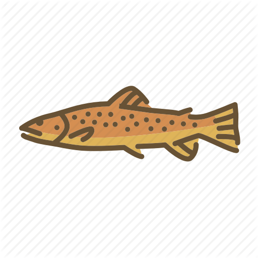 brown-trout # 241067