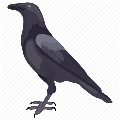 new-caledonian-crow # 105143