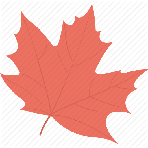 Leaf,Tree,Maple leaf,Black maple,Red,Woody plant,Plant,Plane,Deciduous,Flowering plant,Maple,Flower,Plane-tree family,Silver Maple,Soapberry family