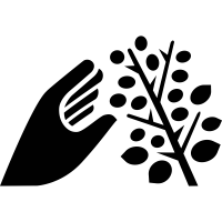 Logo,Hand,Black-and-white,Line,Illustration,Graphics