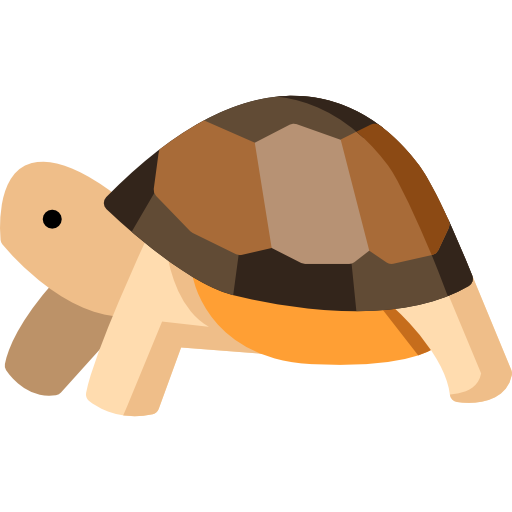 tortoise # 241360