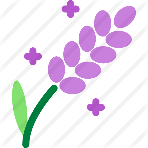 Purple,Violet,Pink,Line,Leaf,Clip art,Graphics,Plant,Pattern,Magenta
