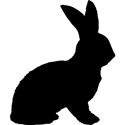 rabbit # 39867