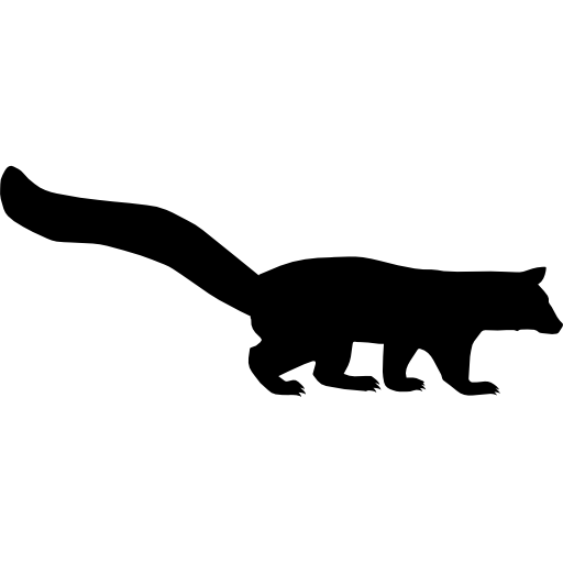 Tail,Silhouette,Felidae,Clip art,Claw,Black-and-white,Small to medium-sized cats,Carnivore