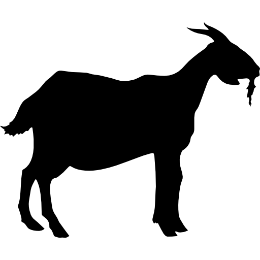 goat # 199173