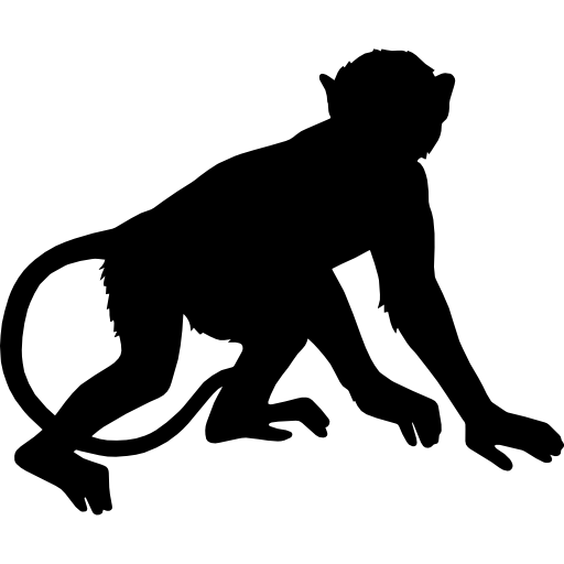 primate # 199174