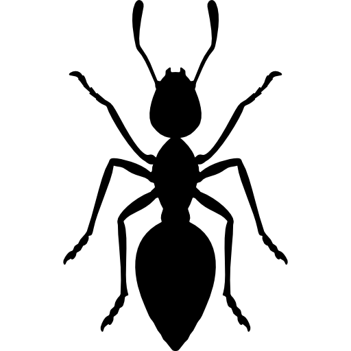 beetle # 76637