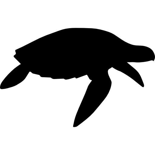 sea-turtle # 241698