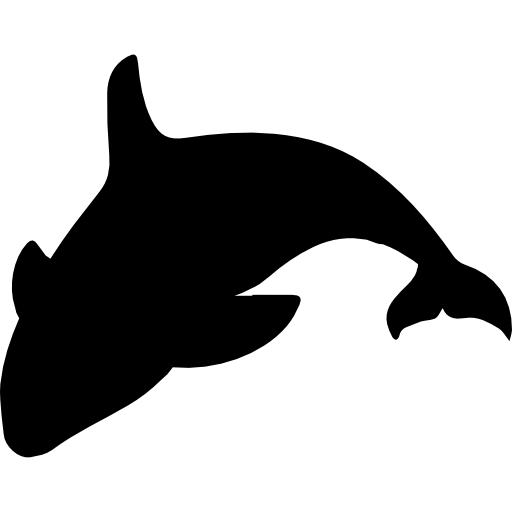 Bottlenose dolphin,Fin,Dolphin,Marine mammal,Tucuxi,Cetacea,Killer whale,Common dolphins,Common bottlenose dolphin,Bowhead,Silhouette,Porpoise