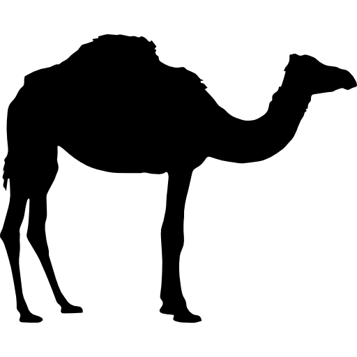 Camel,Vertebrate,Camelid,Arabian camel,Silhouette,Terrestrial animal,Black-and-white,Bactrian camel,Livestock,Landscape,Wildlife,Clip art,Illustration,Graphics
