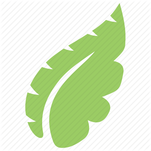 Green,Leaf,Logo,Plant