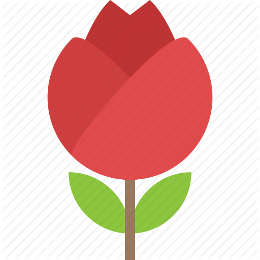 Leaf,Clip art,Tulip,Plant,Flower,Coquelicot,Symbol,Graphics,Illustration,Petal,Heart