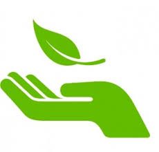 Green,Leaf,Logo,Hand,Finger,Illustration,Clip art,Plant,Gesture,Icon,Thumb,Symbol