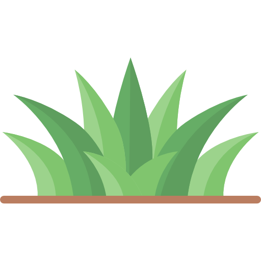 succulent-plant # 109257