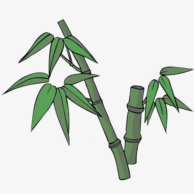 bamboo # 77704