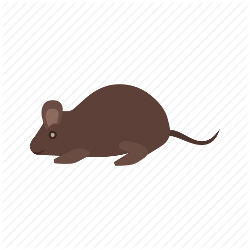 beaver # 203734