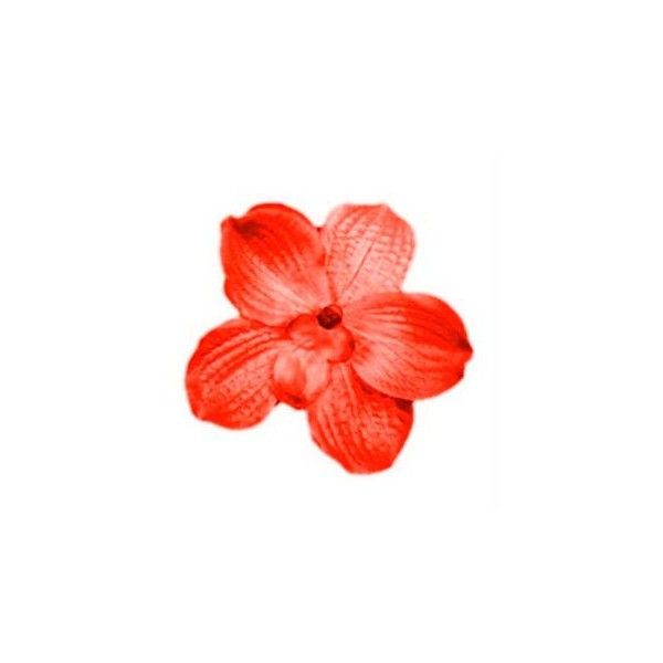 hawaiian-hibiscus # 204177