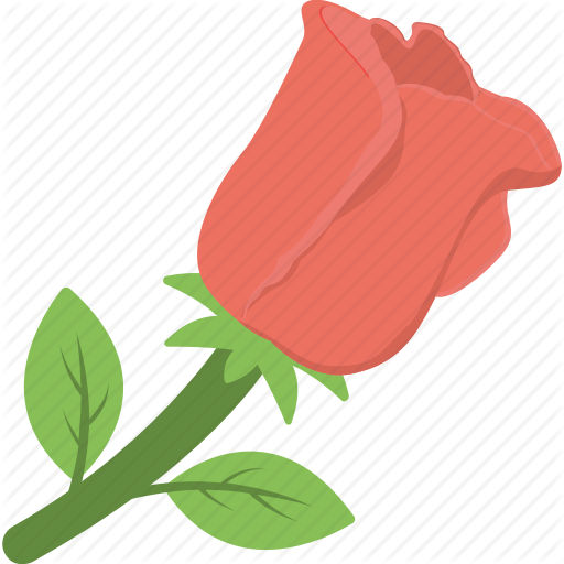 Red,Leaf,Tulip,Botany,Plant,Illustration,Flower,Petal,Graphics,Lily family,Coquelicot,Clip art