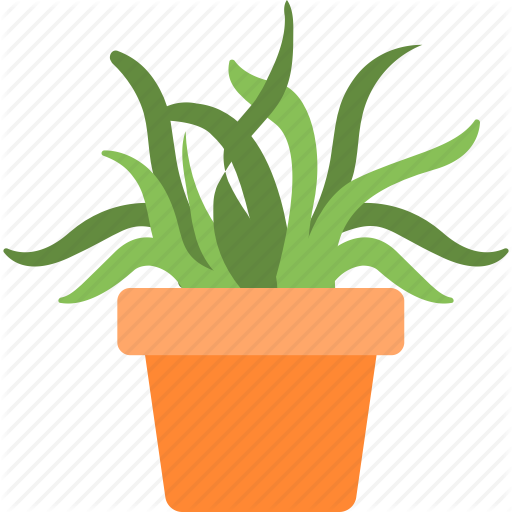 succulent-plant # 244489