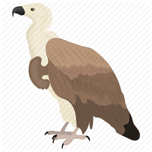 king-vulture # 244634