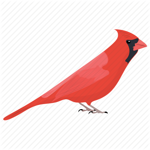 cardinal # 112353