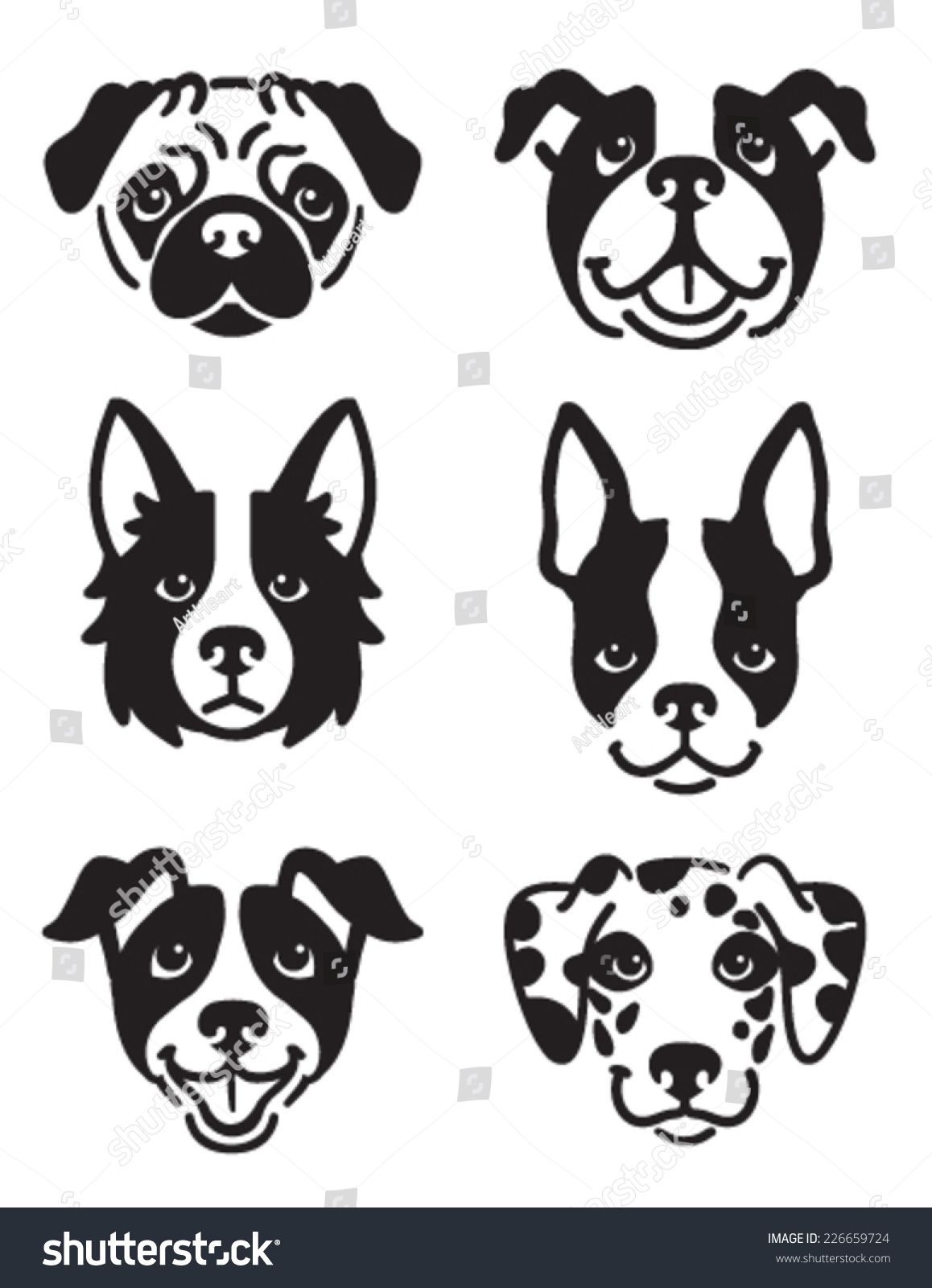 Dog,Mammal,Canidae,Dog breed,Boston terrier,Snout,Carnivore,Non-Sporting Group,French bulldog,Companion dog,Ancient dog breeds