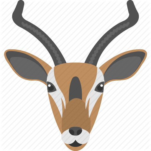 antelope # 112850