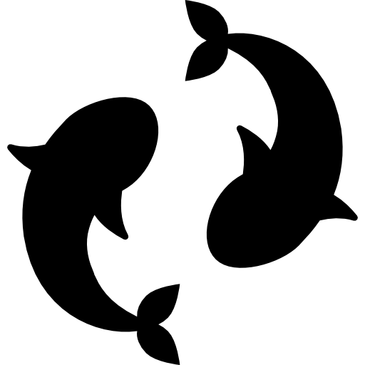 Dolphin,Marine mammal,Killer whale,Cetacea,Bottlenose dolphin,Clip art,Black-and-white