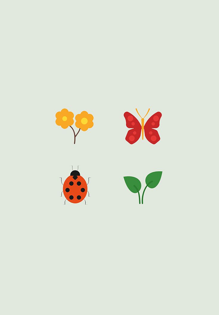 Leaf,Insect,Butterfly,Illustration,Plant,Petal,Ladybug,Coquelicot,Flower,Logo