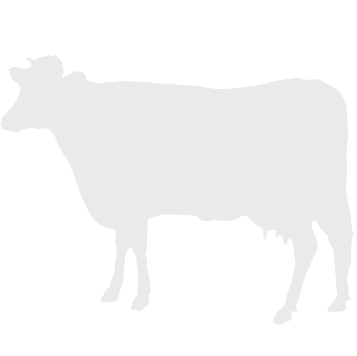 dairy-cow # 208950
