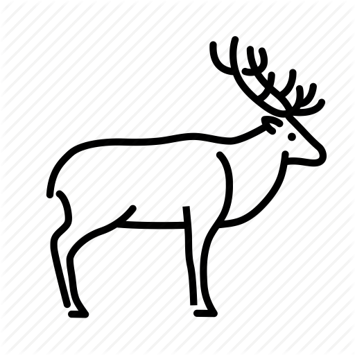reindeer # 182777