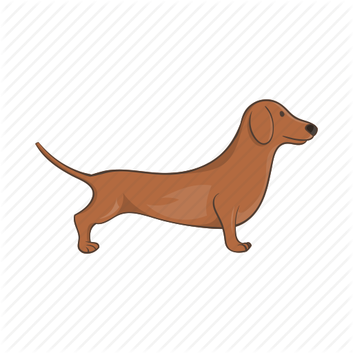 Dog,Mammal,Vertebrate,Canidae,Dog breed,Dachshund,Carnivore,Hound,Vizsla,Sporting Group,Liver,Fawn,Redbone coonhound,Scent hound